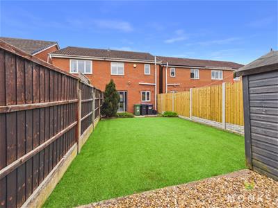Picture 15